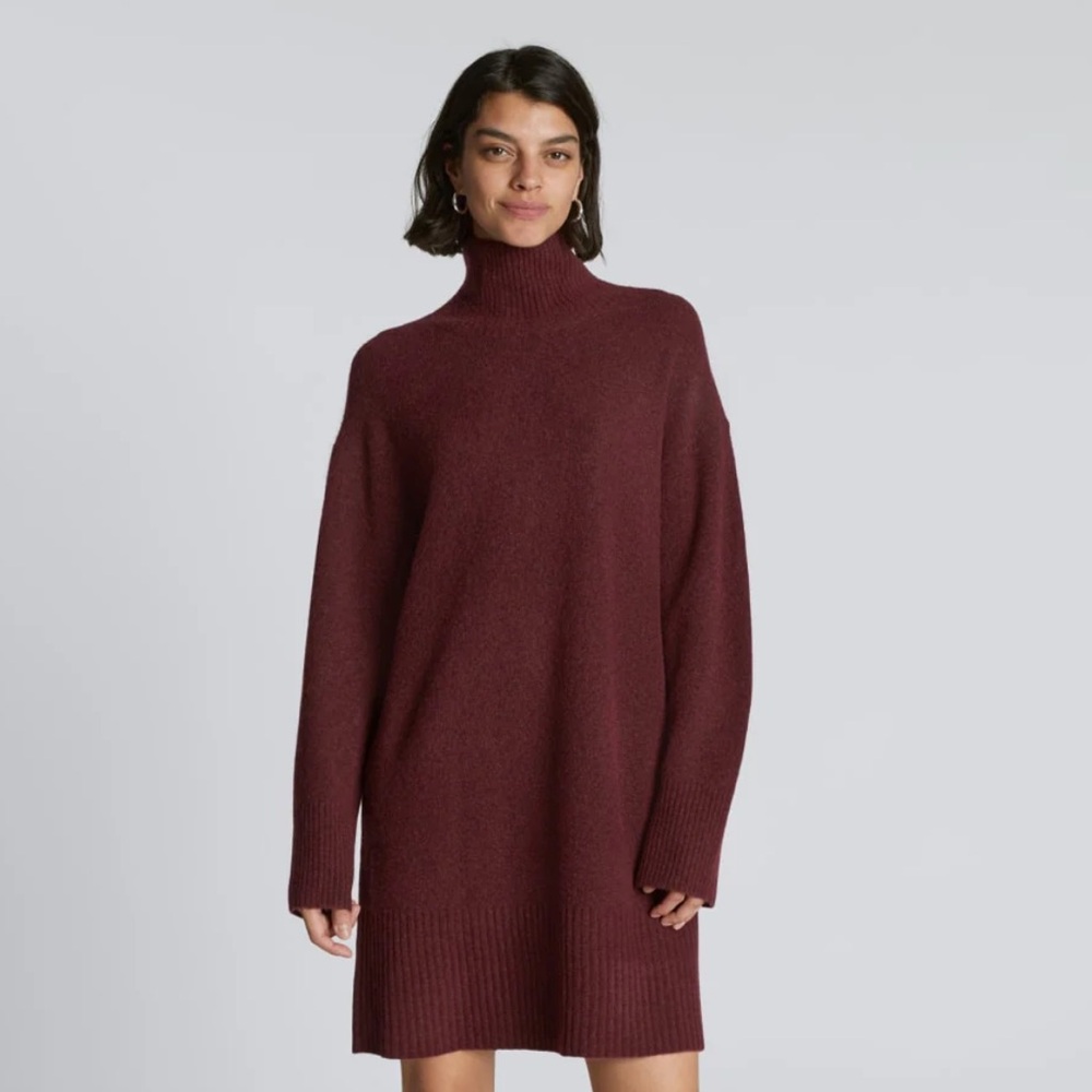 NWOT Everlane THE COZY STRETCH TURTLENECK DRESS Burgundy